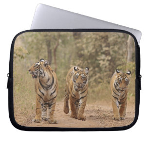 Royal Bengal Tigers on the track, Ranthambhor Laptop Sleeve