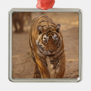 Royal Bengal Tigers on the track, Ranthambhor Metal Ornament
