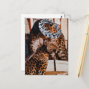 Royal Big Cats Collage Postcard