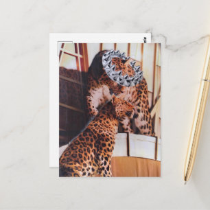 Royal Big Cats Collage Postcard