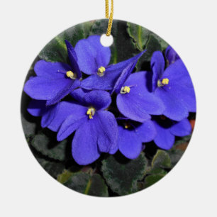 Royal Blue African Violet Ceramic Ornament