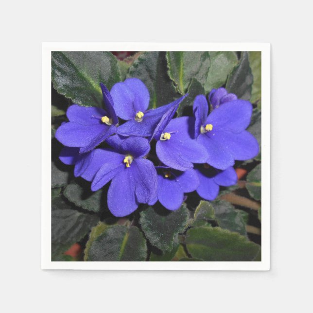 Royal Blue African Violet Napkin (Front)