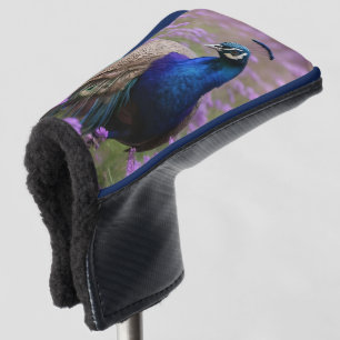Royal Blue: Blue Peacock In Lavender Field, Golf Head Cover