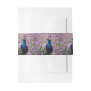 Royal Blue: Blue Peacock In Lavender Field, Invitation Belly Band