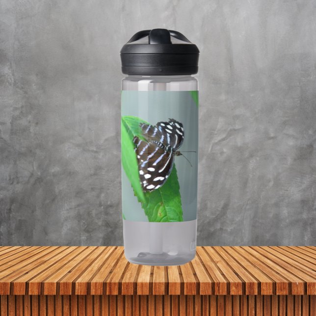 Royal Blue Butterfly Photo Water Bottle (In Situ Table)