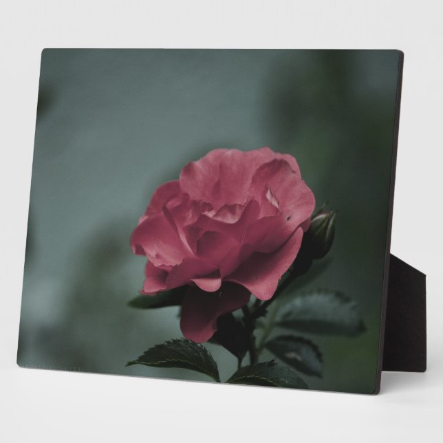 Royal Blush Plaque (Side)