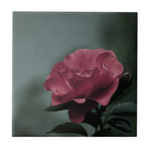 Royal Blush Tile