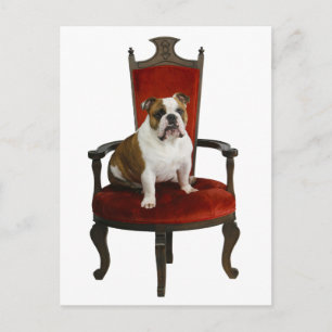 Royal Bulldog Postcard