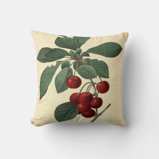 Royal Cherry Botanical Illustration  Cushion (Front)