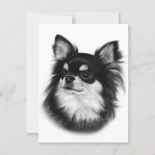 Royal Chihuahua Look - Hand Painted Postcard