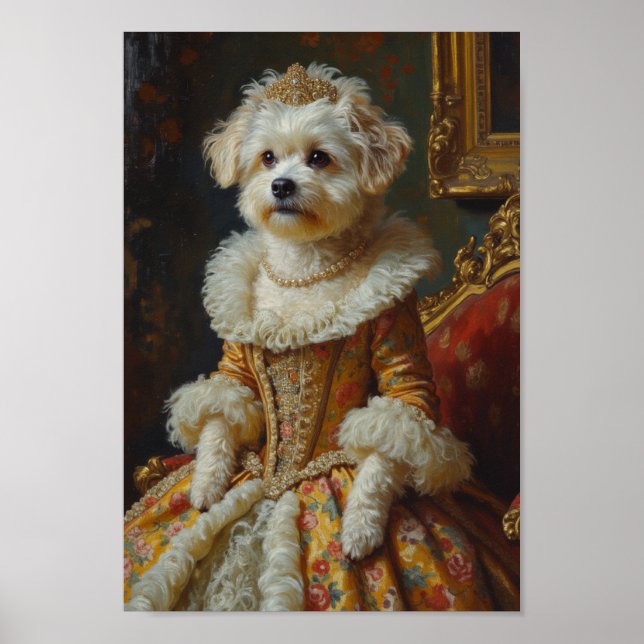 Royal Coton de Tulear Portrait Poster (Front)