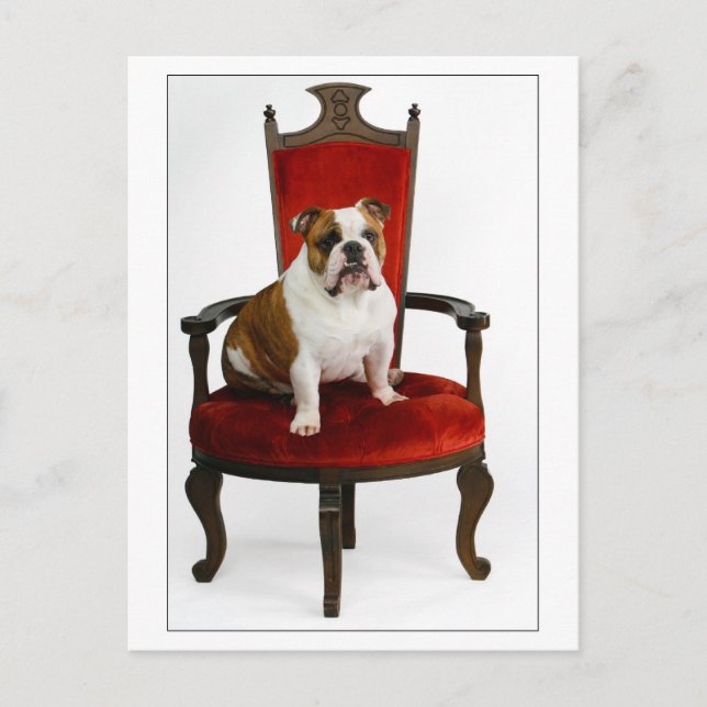Royal English Bulldog Postcard (Front)