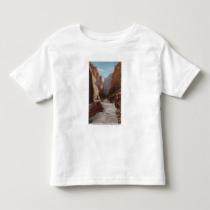 Royal Gorge, CO - View of Train , River Toddler T-Shirt