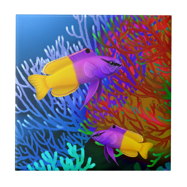 Royal Gramma Coral Reef Fishes Tile (Front)