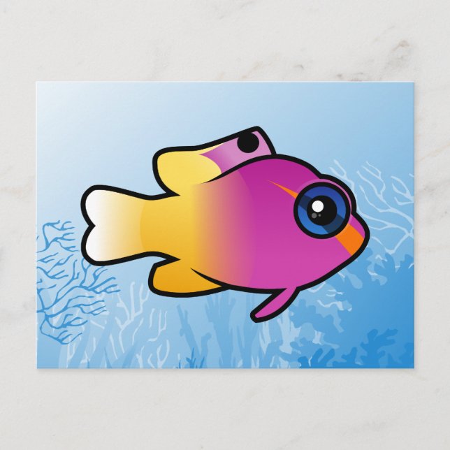 Royal Gramma Postcard (Front)