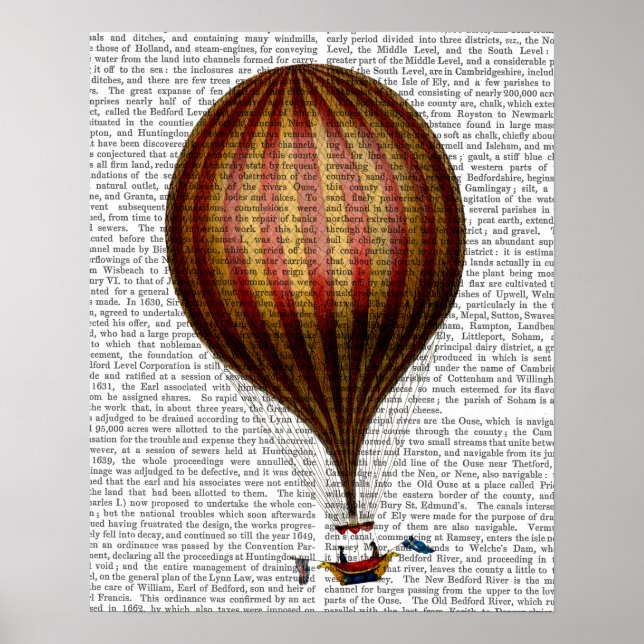 Royal Nassau Balloon Hot Air Balloon Poster (Front)
