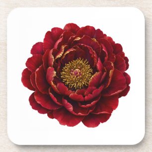 Royal Persian Gold Filigree Luxury Botanical Coaster
