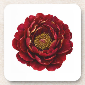Royal Persian Gold Filigree | Luxury Botanical  Coaster