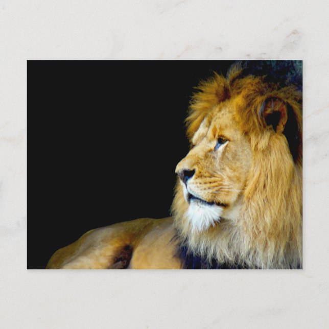 Royal Portrait Postcard (Front)