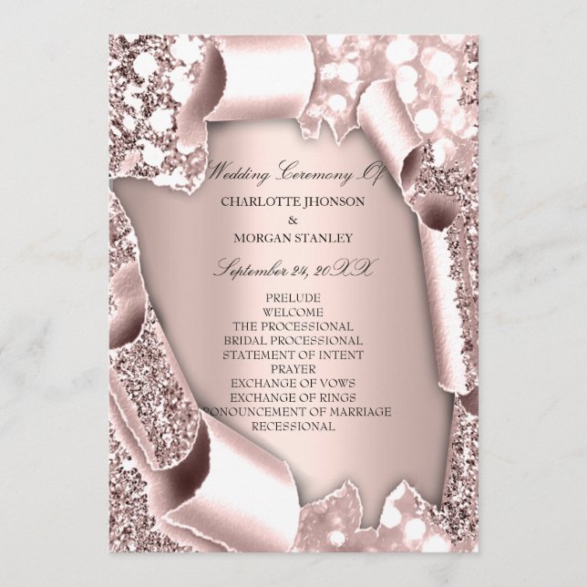 Royal Rose Blush Pink Frame 3D  Program (Front)