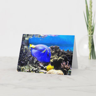 Royal tang and Yellow tang Holiday Card