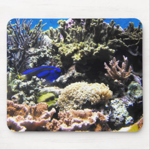 Royal Tang fish amongst the corals Mouse Pad