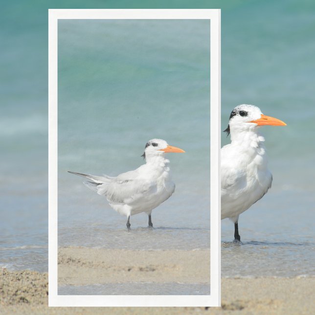 Royal Tern Coastal Beach Photographic Napkin (Creator Uploaded)