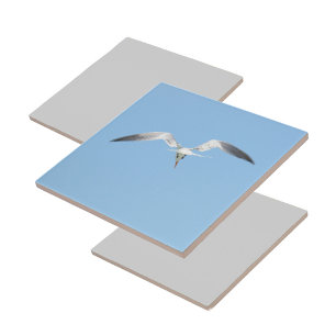Royal Tern in Flight Coastal Blue Ceramic Tile