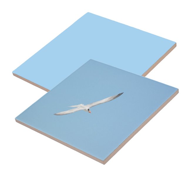 Royal Tern in Flight Coastal Ceramic Tile (1 of 7 coordinating Royal Terns in Flight ceramic tiles)