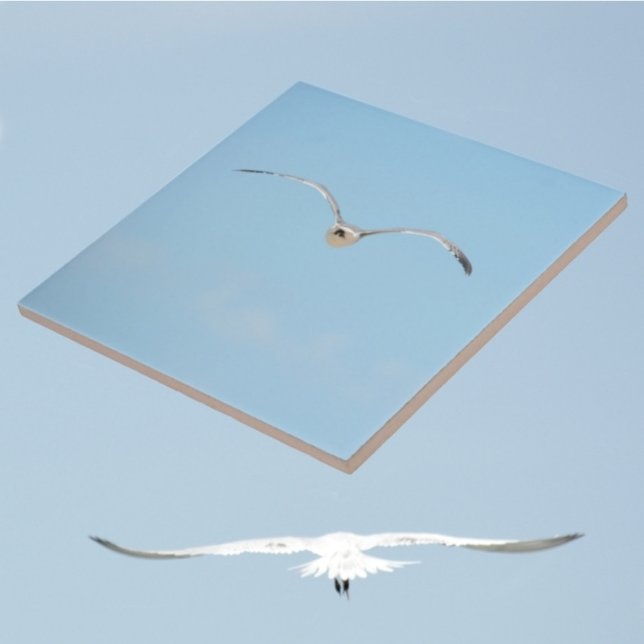 Royal Tern in Flight Coastal Sky Blue Ceramic Tile (1 of 7 coordinating coastal sky blue ceramic tiles with Royal Terns in flight)