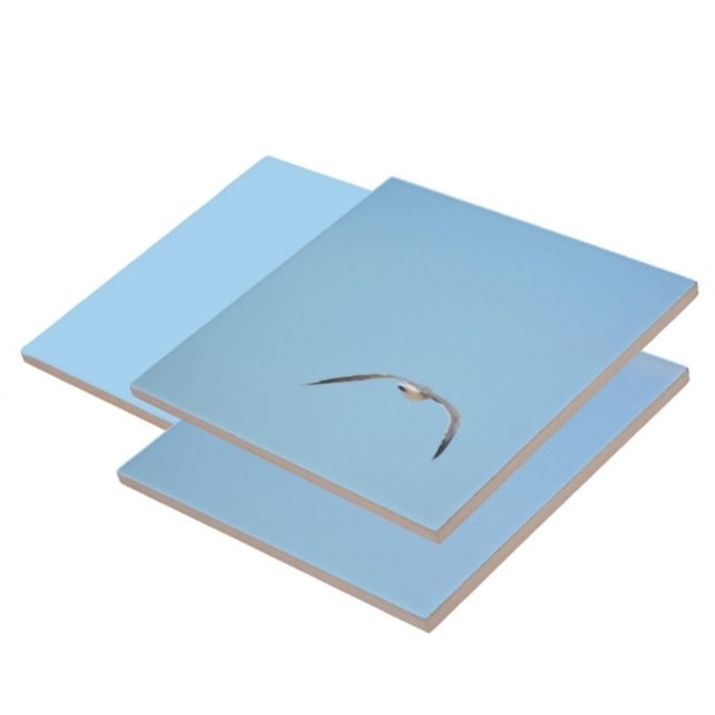 Royal Tern in Flight Seabird Coastal Blue Ceramic Tile (1 of 7 coordinating Terns in flight sky blue ceramic tiles)