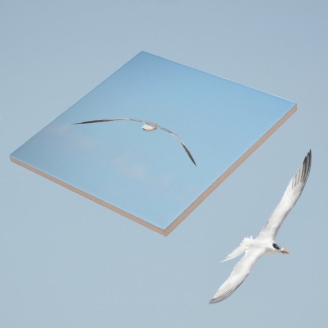 Royal Tern in Flight Wings Spread Sky Coastal Blue Ceramic Tile (Creator Uploaded)