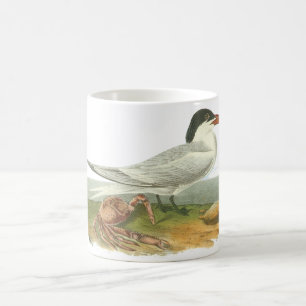 Royal Tern, John Audubon Coffee Mug