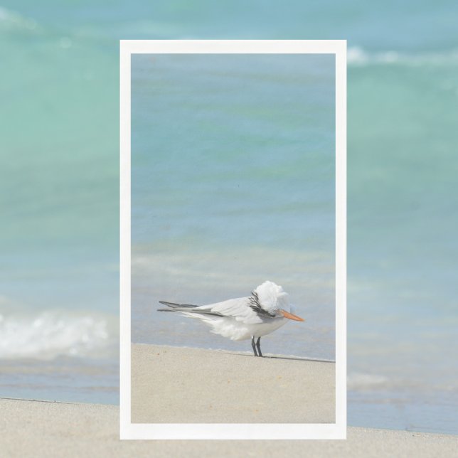 Royal Tern on Beach Seabird Photography Napkin (Creator Uploaded)