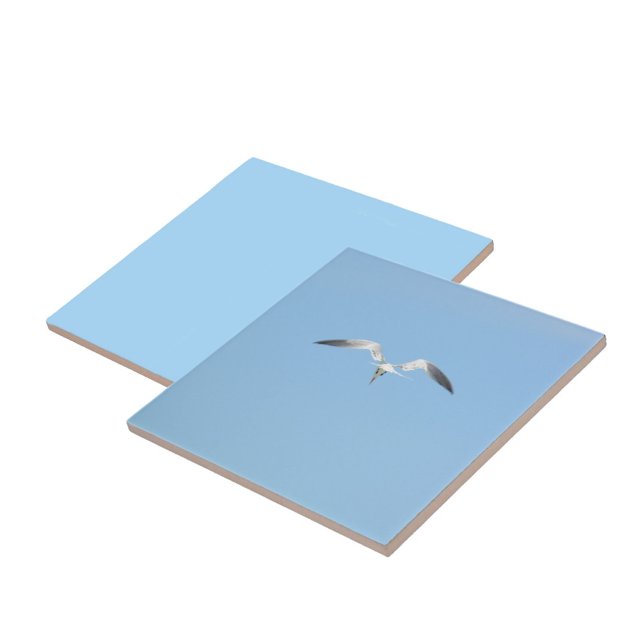 Royal Tern Seabird in Flight Sky Blue Ceramic Tile (1 of 7 coordinating sky blue Seabird in flight ceramic tiles)