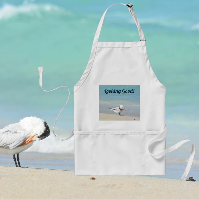 Royal Tern Seabird on Beach Looking Good Standard Apron (Creator Uploaded)