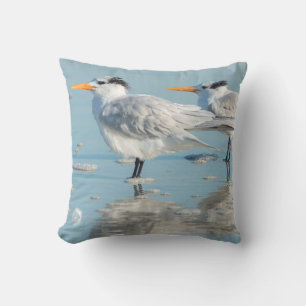 Royal Terns on beach Cushion