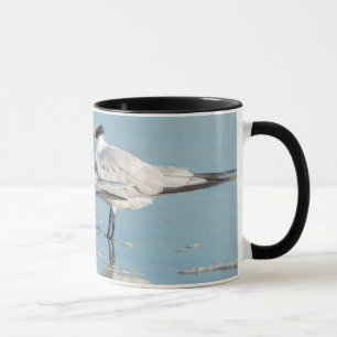 Royal Terns on beach Mug