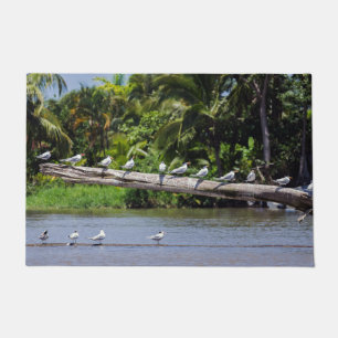 Royal terns, Tortuguero river estuary - Costa Rica Doormat