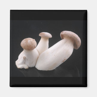 Royal Trumpet Mushroom Magnet