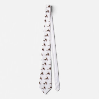 Royal-Wulff Tie