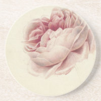 Roze Roos (1792) – Timeless Vintage Botanical Art