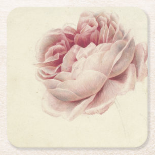 Roze Roos (1792) – Timeless Vintage Botanical Art Square Paper Coaster