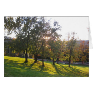 RPI hill in the afternoon light