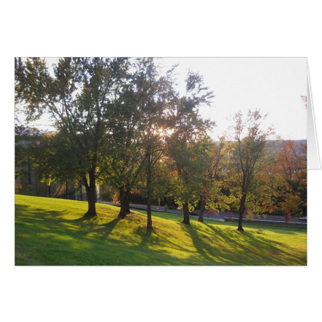 RPI hill in the afternoon light (Front Horizontal)