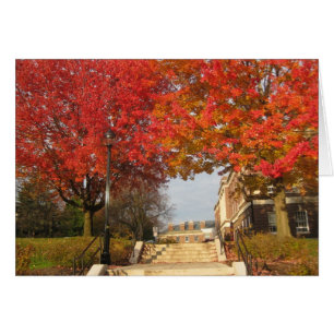 RPI red maples
