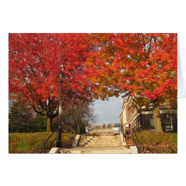RPI red maples (Front Horizontal)
