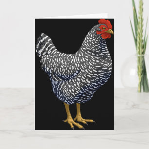 Rred Plymouth Rock Hen Chicken Lover  Card