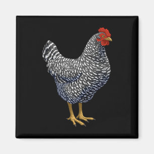 Rred Plymouth Rock Hen Chicken Lover  Magnet