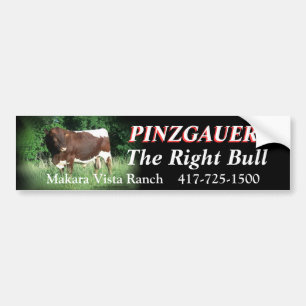RRF2-rhtbl-Bumpersticker-customise Bumper Sticker